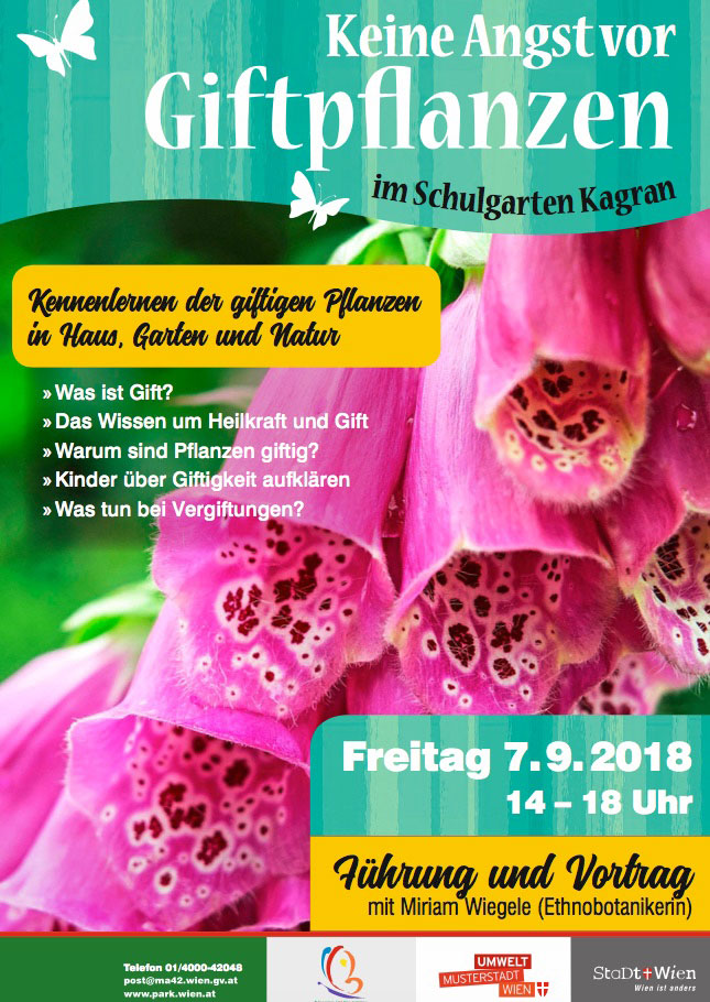 Kinder natur kennenlernen