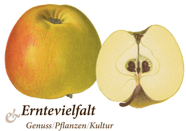 5. Wiener Herbststage