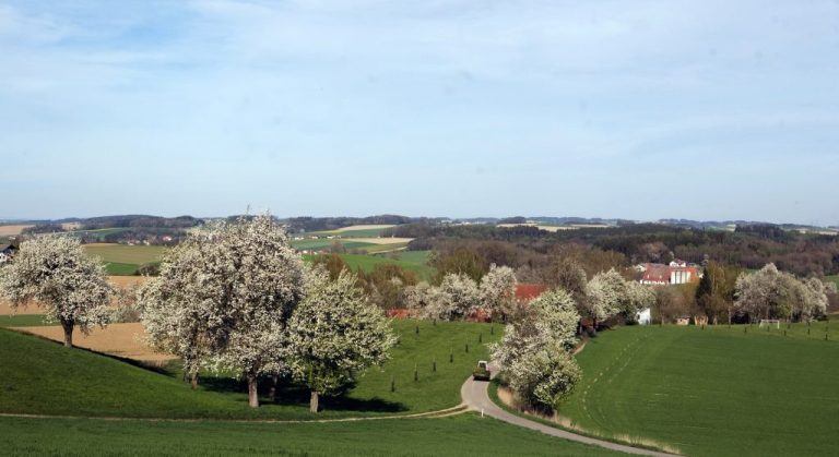 Streuobstwiesen Eitzing-Traktor (c) Hans Hartl