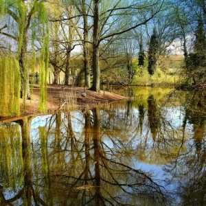 Raritäten im Türkenschanzpark