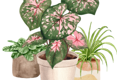 Aquarellkurs, MiniDei, Aline Aimée-Schaefer